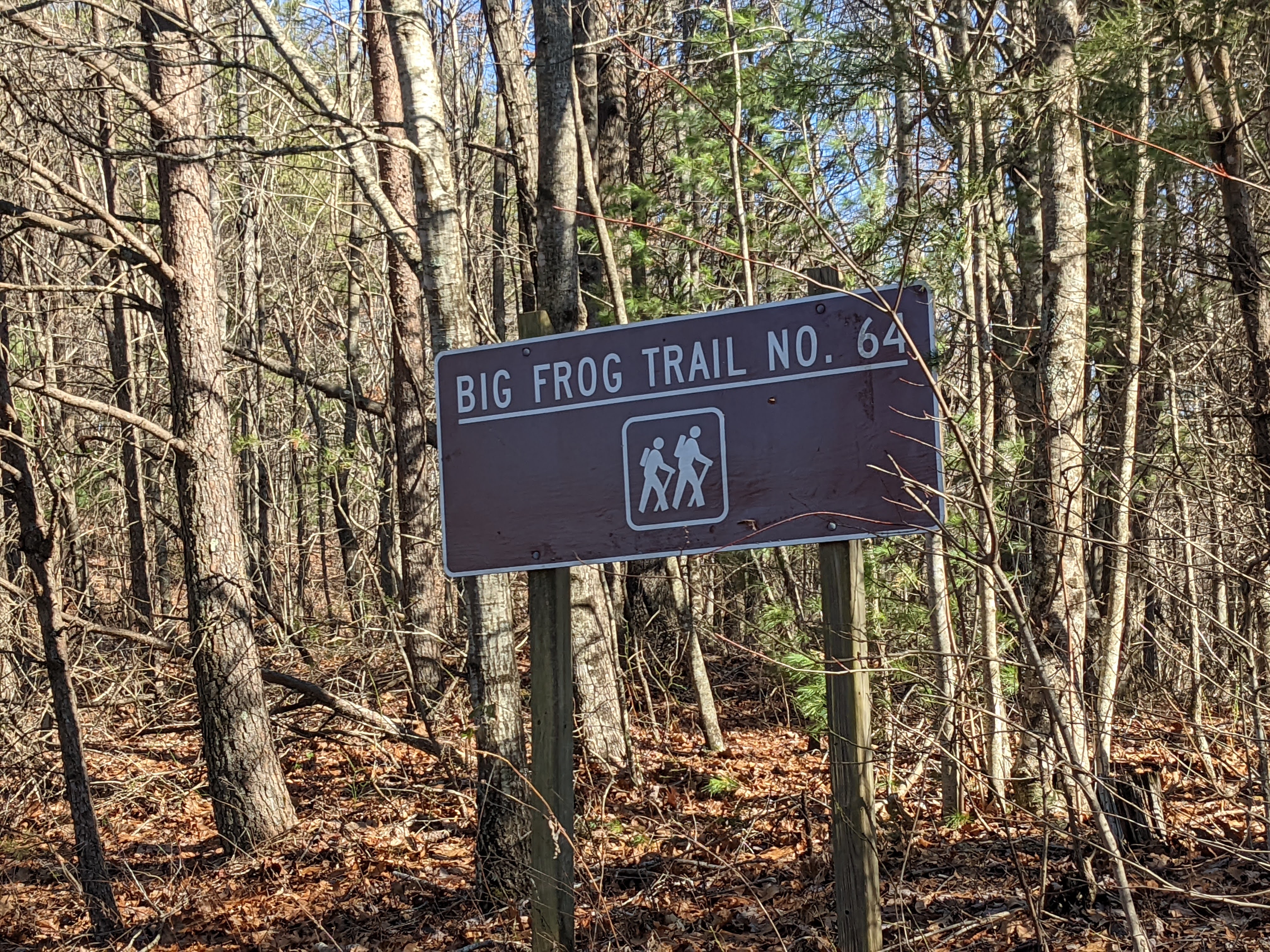 Big Frog Trail No. 64 sign